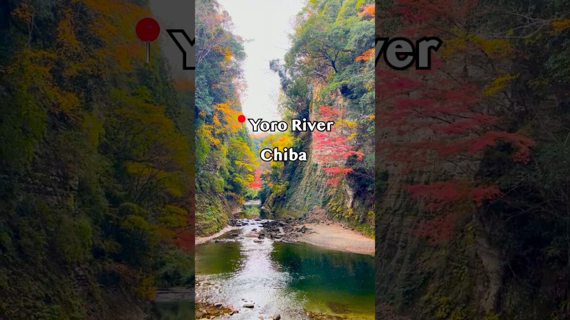 🍁 Yoro River – Chiba