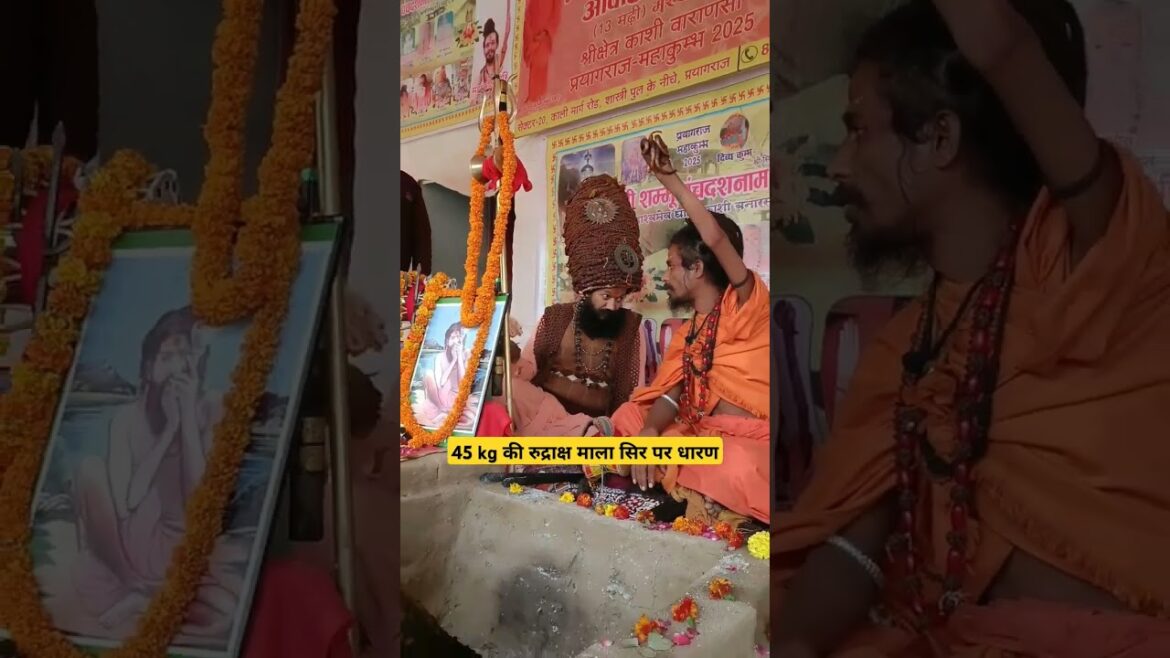कुम्भ में पहुँचने लगे हैं संत, #prayagraj #kumbh #nagasadhu