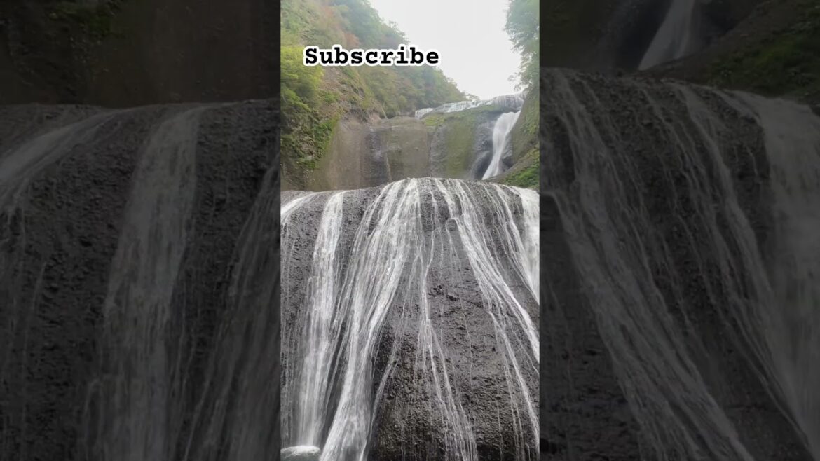 Japan tour #coversong #shortvideo #travel #trending #explore #shorts #fyp #love #street #music