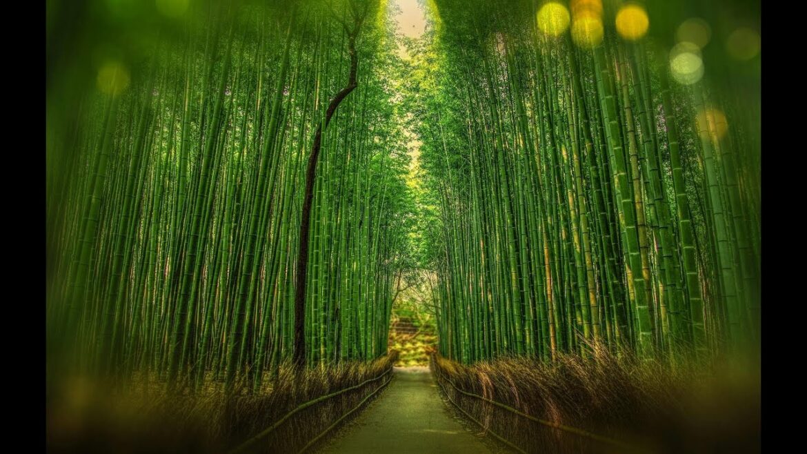 🌸 Top 10 Most Beautiful Places in Japan | Must-Visit Travel Destinations! 🌸 Top 10 Most Beautiful Places in Japan | Must-Visit Travel Destinations!