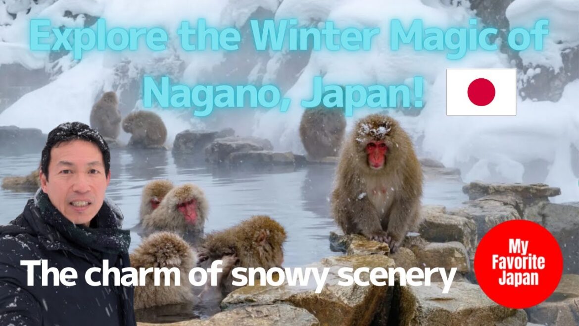 Explore the Winter Magic of Nagano, Japan! ❄️