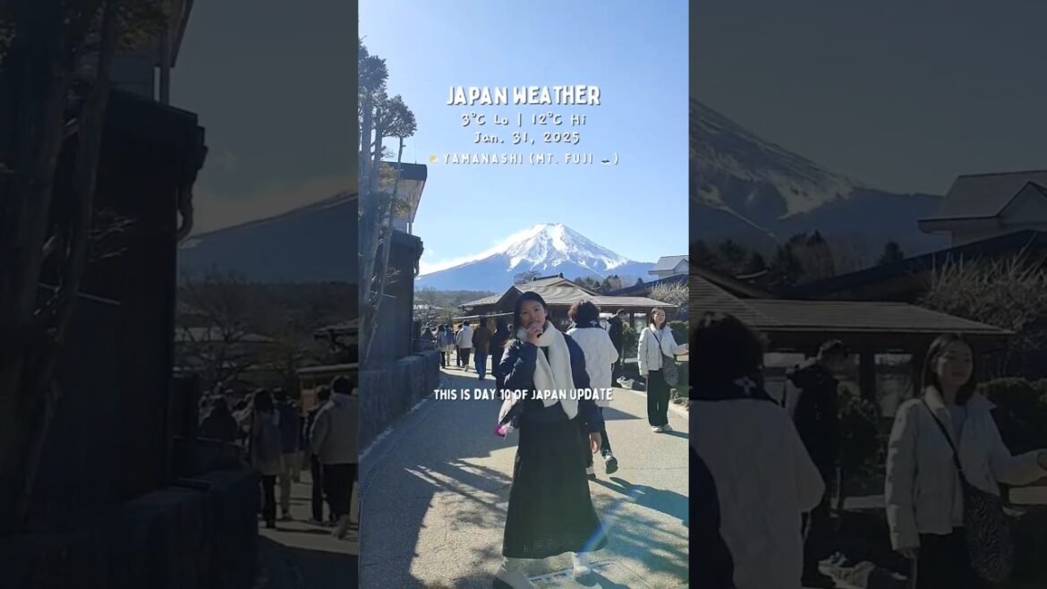 Mt. Fuji day tour from Tokyo #mtfuji #japantravel #japantips #traveljapan #fyp #tokyo