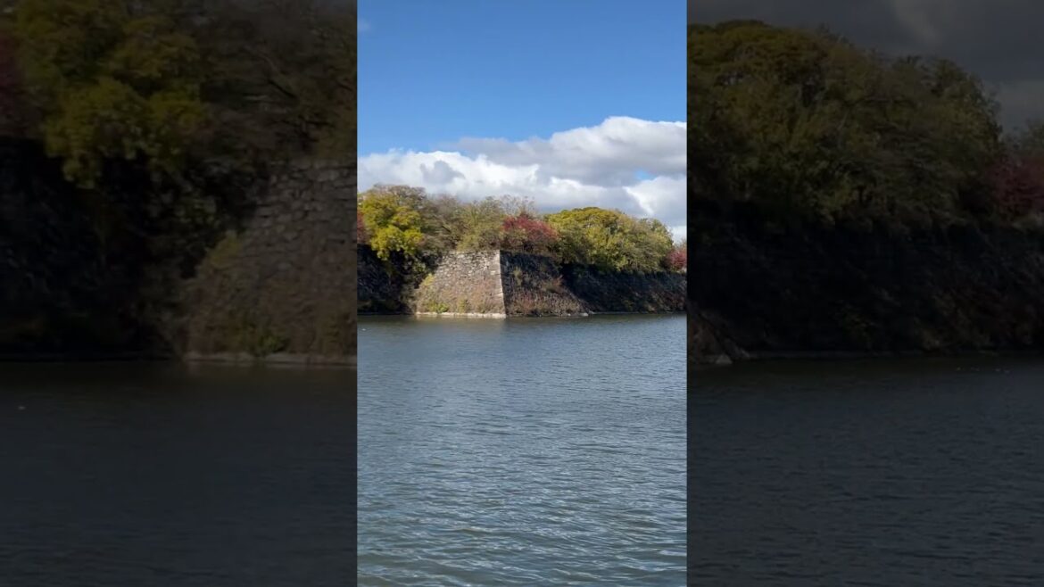 Osaka Castle Park  #travel #relaxing #beautiful #japan