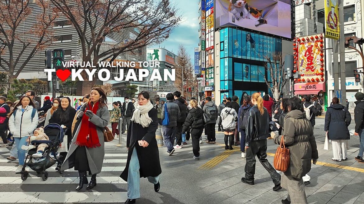 [Full Version] TOKYO JAPAN, Walking Tour Shinjuku, Kabukicho, Japan, Travel, 4K