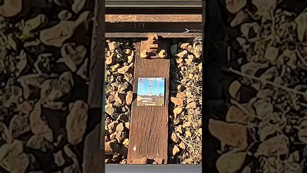 【伊賀鉄道 伊賀線】「新潟から応援してます」R6年まくら木オーナーの「ジャンボ」です! 【伊賀鉄道 伊賀線】「新潟から応援してます」R6年まくら木オーナーの「ジャンボ」です!