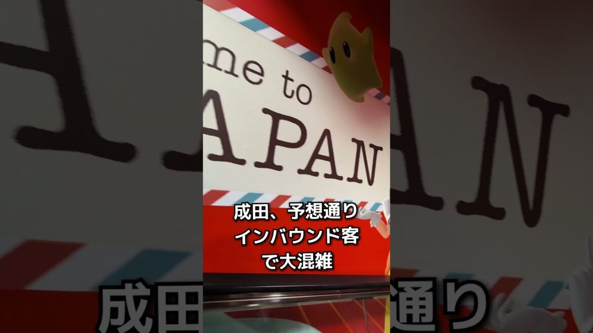 昨年の12月の成田空港の様子✈️ #naritaairport #japantravel #shorts