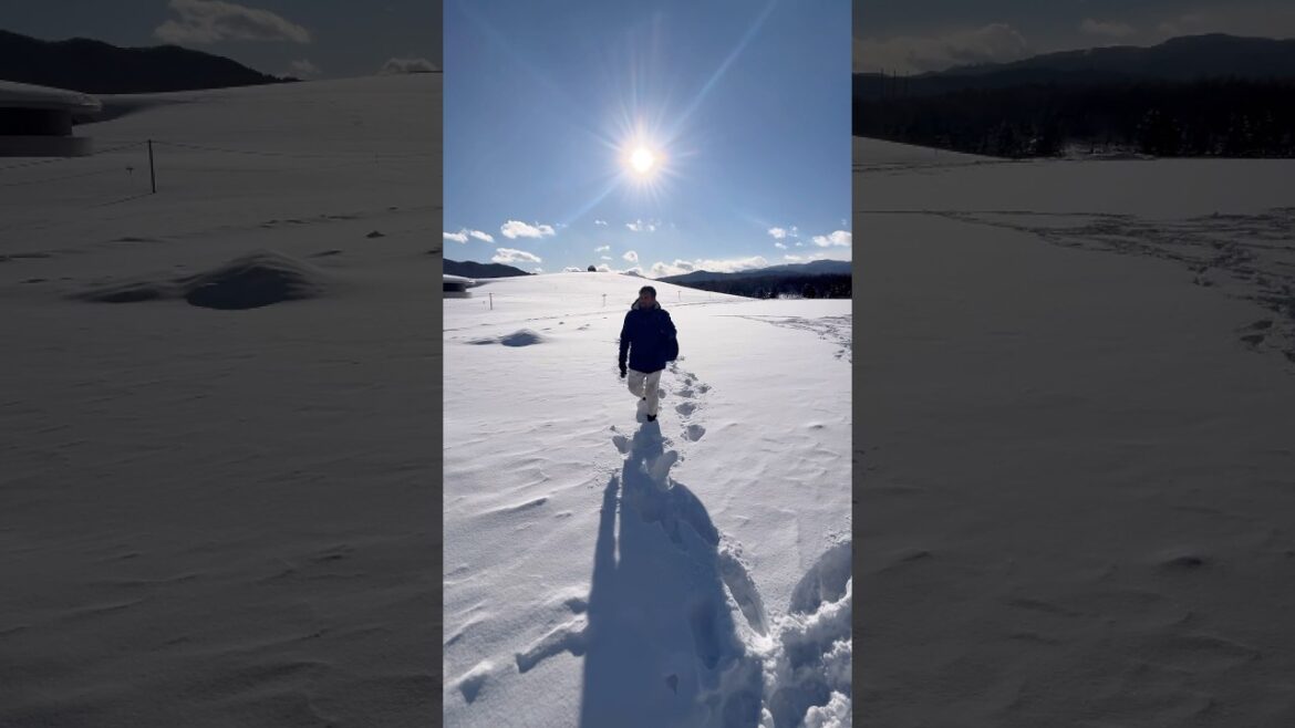 In heaven 😍😍      #sapporo #japan #trendingshorts