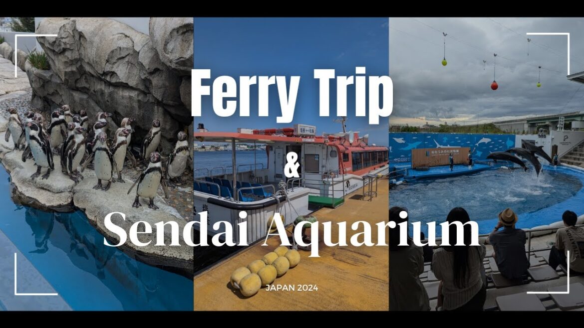 Matsushima Ferry & Animal Crossing Fun at Sendai Aquarium! | Japan Travel Vlog ⛴️🐟🍃