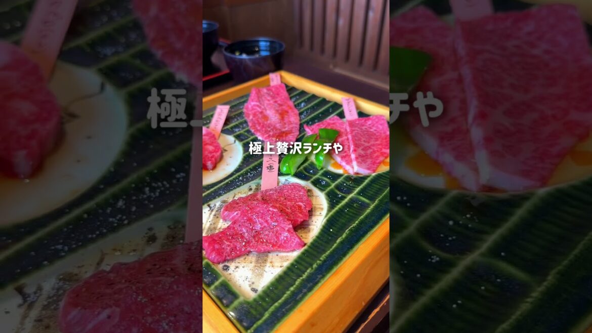 【新潟・南魚沼】肉処バッファロー！昼間からお肉パーティーができるお店に行ってきた日の話　#地元応援  #新潟観光  #新潟県  #地方創生