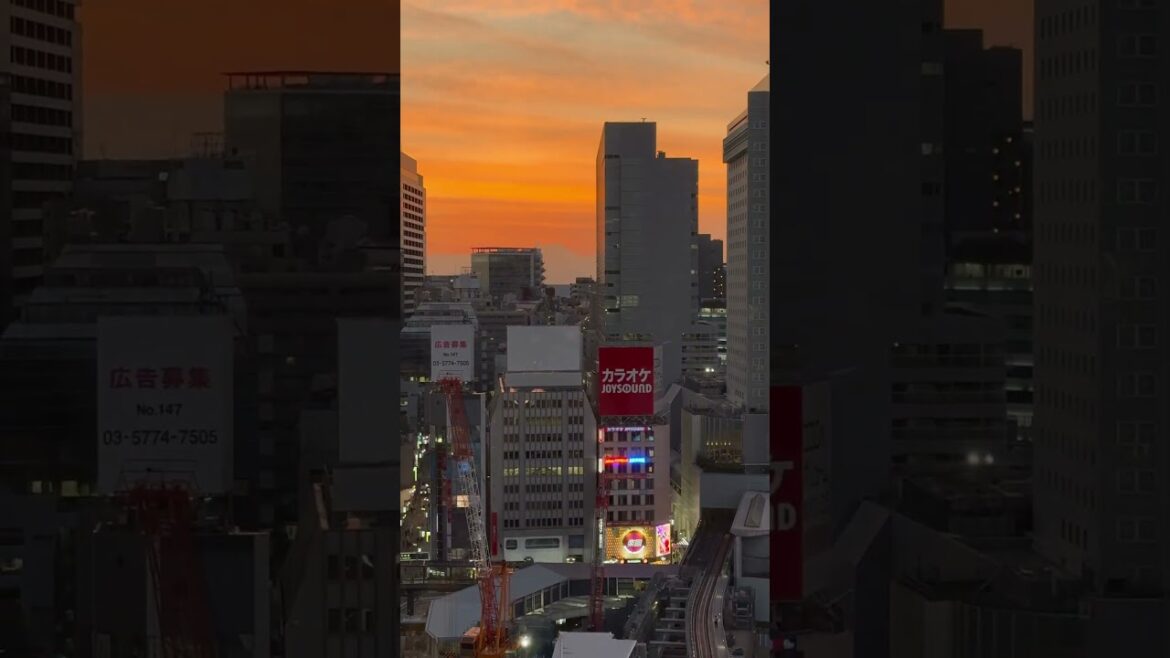 Mount Fuji visible from the Hikarie building in Shibuya, Tokyo #mountfuji #tokyo