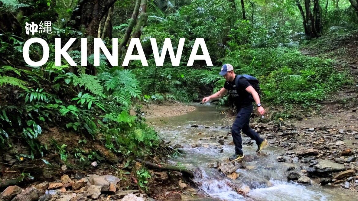 One Week in Okinawa | Not the Japan You Think You Know One Week in Okinawa | Not the Japan You Think You Know