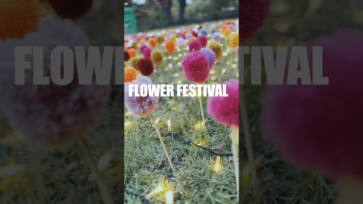 HIROSAKI AUTUMFESTIVAL ｜JNTO