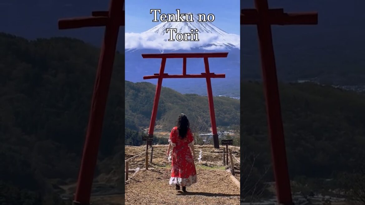 Ranking Mount Fuji Views #shorts