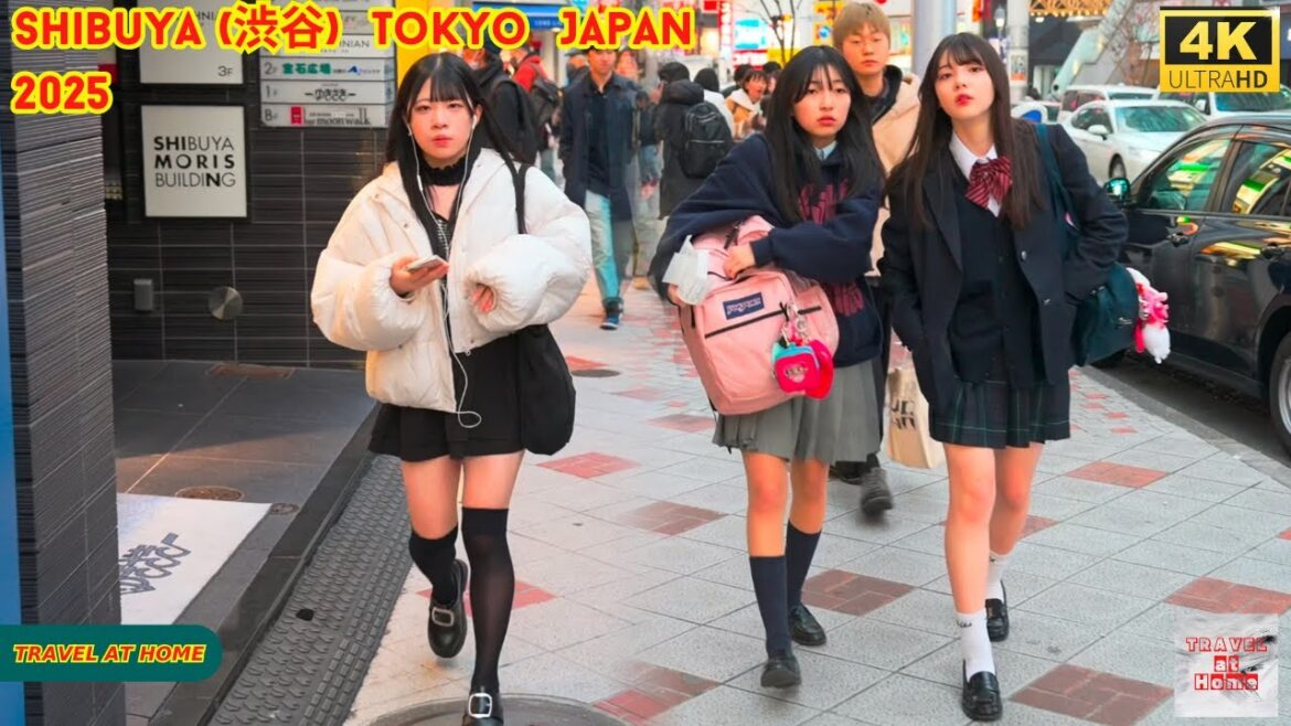 4k hdr Japan travel 2025 | Walk in Shibuya (渋谷) Tokyo Japan |  Relaxing Natural City ambience