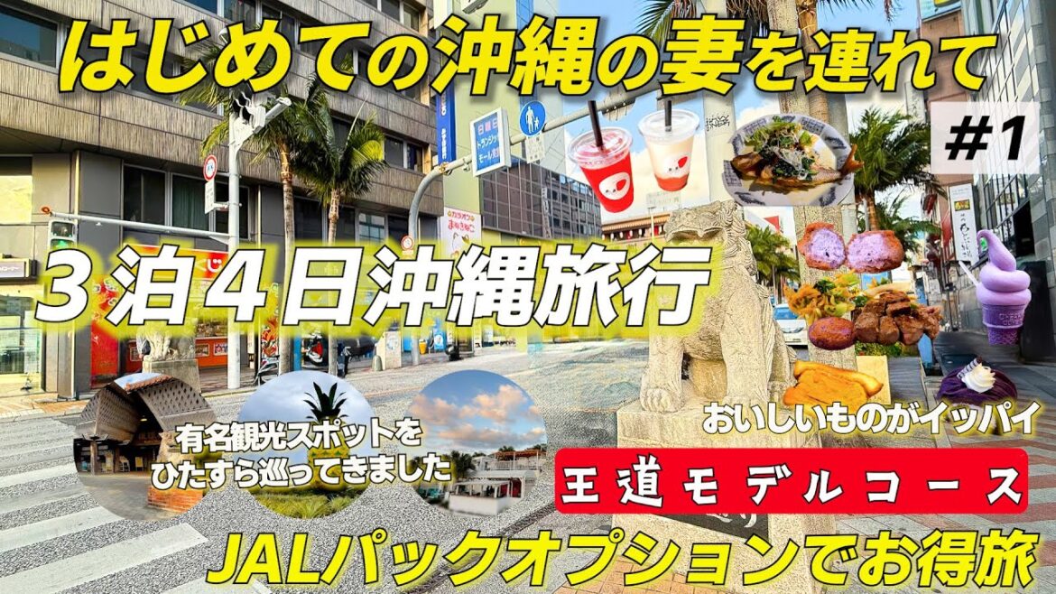 初めての沖縄旅行には最適解!?🌺安すぎるJALパックオプションを最大限利用して沖縄3泊4日夫婦旅行 初めての沖縄旅行には最適解!?🌺安すぎるJALパックオプションを最大限利用して沖縄3泊4日夫婦旅行