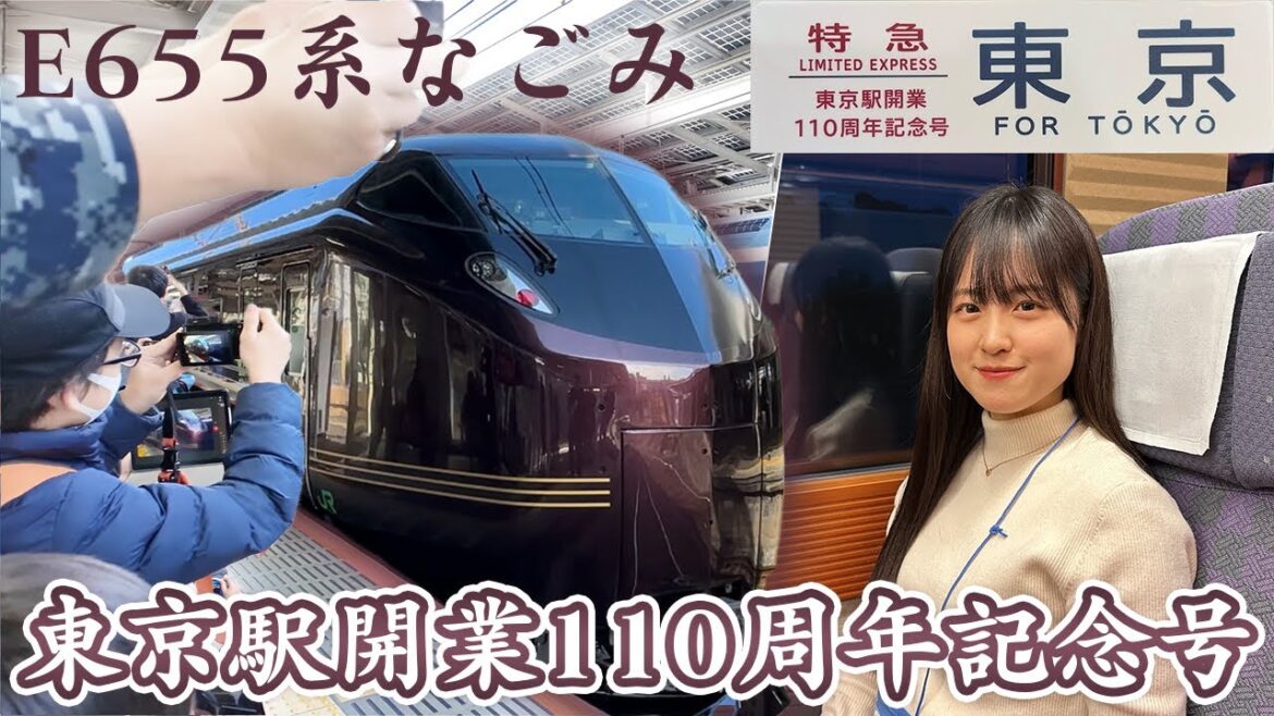 【E655系なごみ】東京駅開業110周年記念号に乗車【女子鉄道旅】