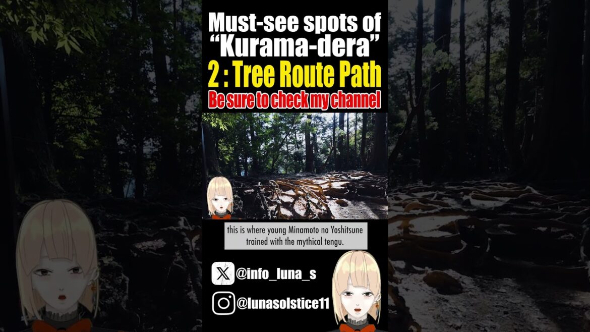 TreeRoutePath: Must-see spots of Kurama-dera, the iconic temple in Kyoto, Japan. #vlog #shorts