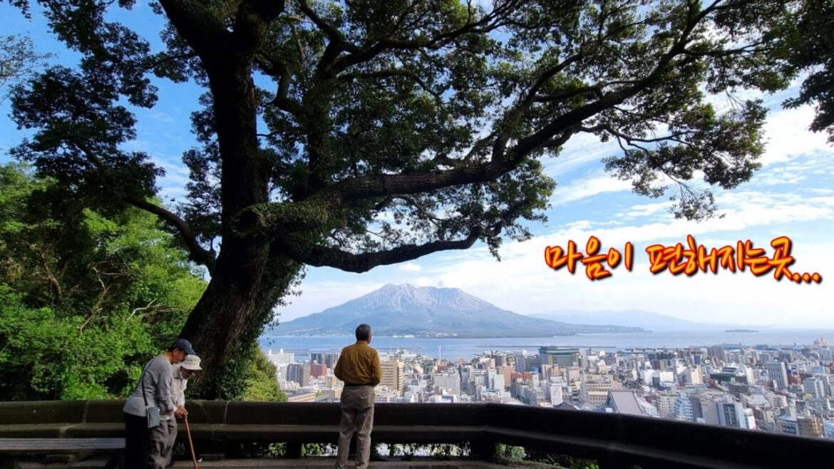 일본 규슈여행 3편(가고시마, 사쿠라지마)