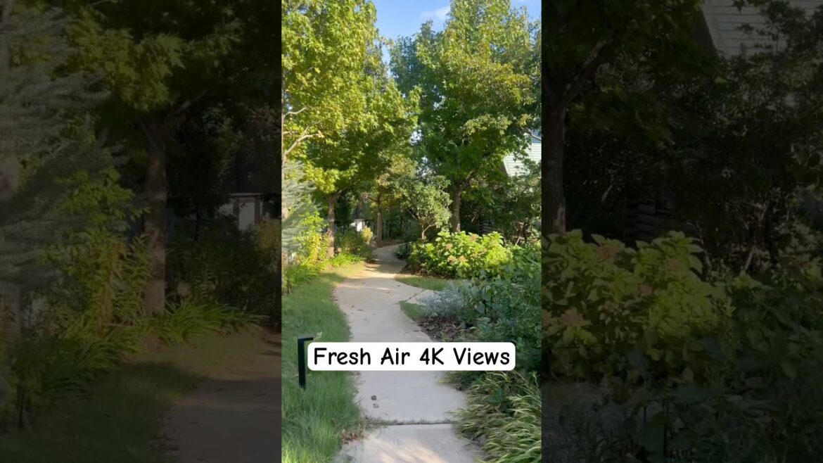 “Breathing Fresh Air in a Peaceful Kyoto Village! 🌿✨ #Kyoto #JapanTravel #FreshAir #NatureLovers