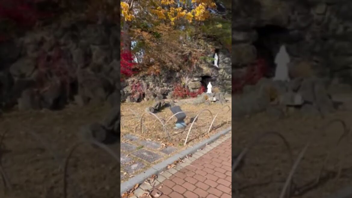 【HOKKAIDO】Must-See Tourist Attraction - Torapischinu Shudoin