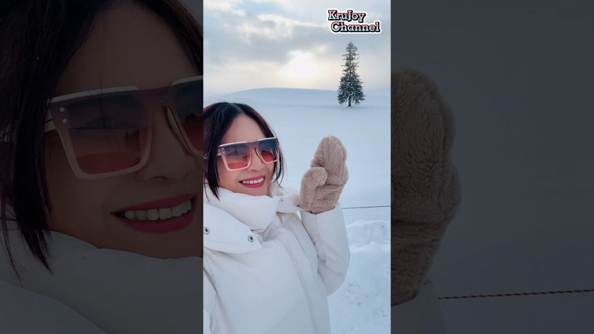 ต้นไม้เซเลป🎄⛄️ชื่อดังที่เมืองบิเอะ   ต้นคริสต์มาส🌲ท่ามกลางหิมะ  #ฮอกไกโด #japan #shortvideo