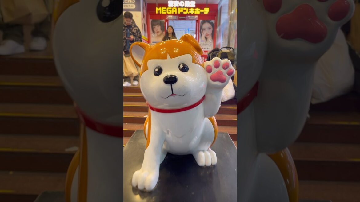 Worlds Most Loyal Dog #shibuyacrossing #traveljapan #dog #akita #travel #tokyodrift #hachiko #tokyo