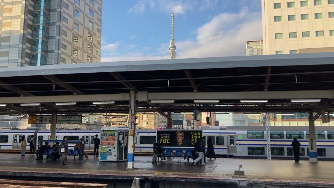 2221 Kinshicho, Tokyo