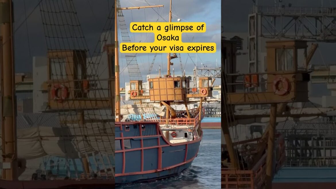 Glimpse of Osaka, Japan 🇯🇵 in 60seconds | #60s #osaka #travel #fypシ゚ #sightseeing #japantravel