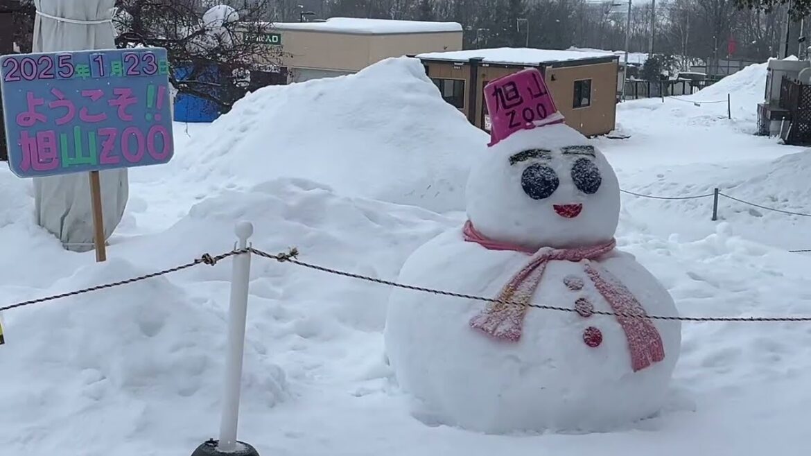2025 Family Trip - Having Fun at Asahikawa eki & Asahiyama Zoo in Snow