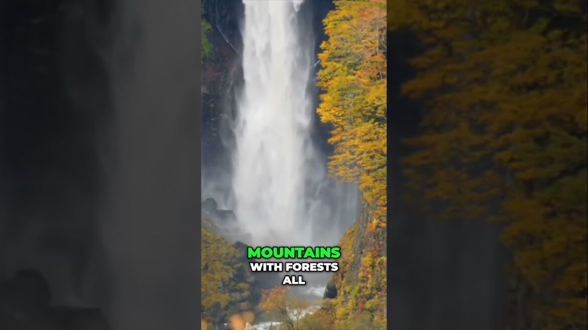 Discover Nikko  Japan’s Hidden Gem of Nature and Culture
