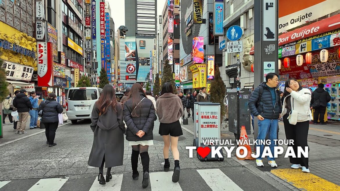 TOKYO JAPAN, Walking Tour Shinjuku, Nishishinjuku, Shinjuku Station, Kabukicho, Travel, 4K TOKYO JAPAN, Walking Tour Shinjuku, Nishishinjuku, Shinjuku Station, Kabukicho, Travel, 4K