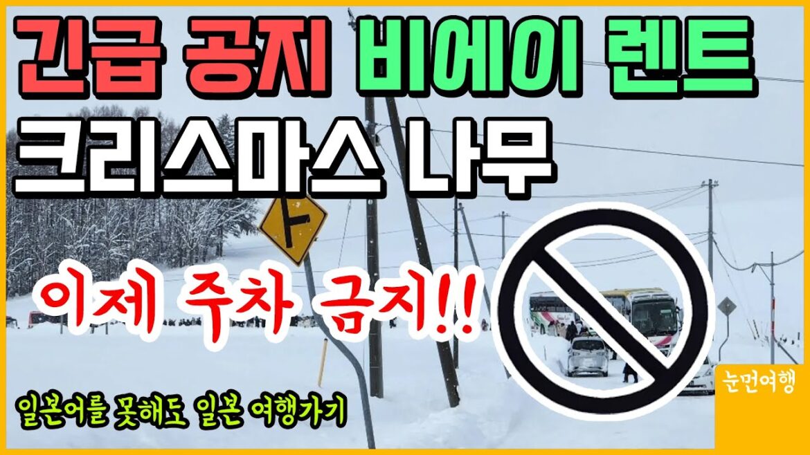 긴급)) 비에이 렌트 여행가신다면 꼭 봐야합니다!!