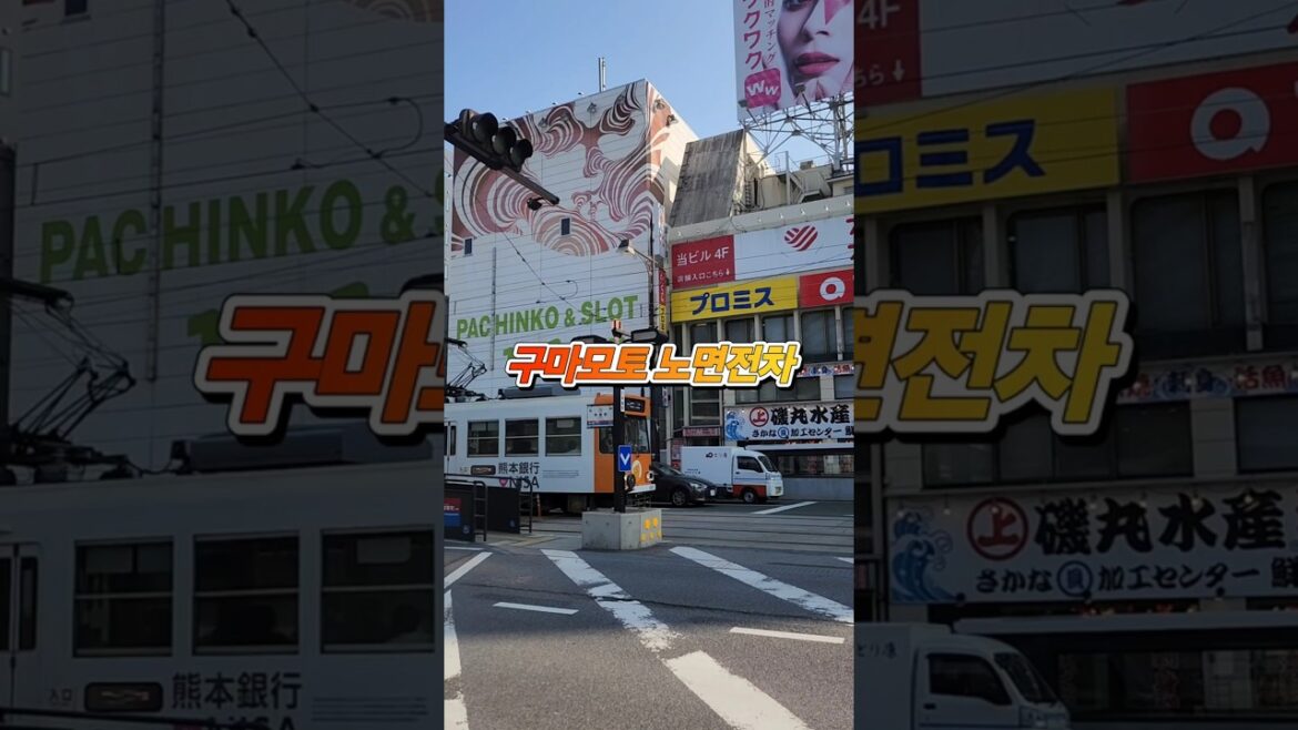 #shorts #구마모토여행 #구마모토 #kumamoto I 구마모토 노면전차