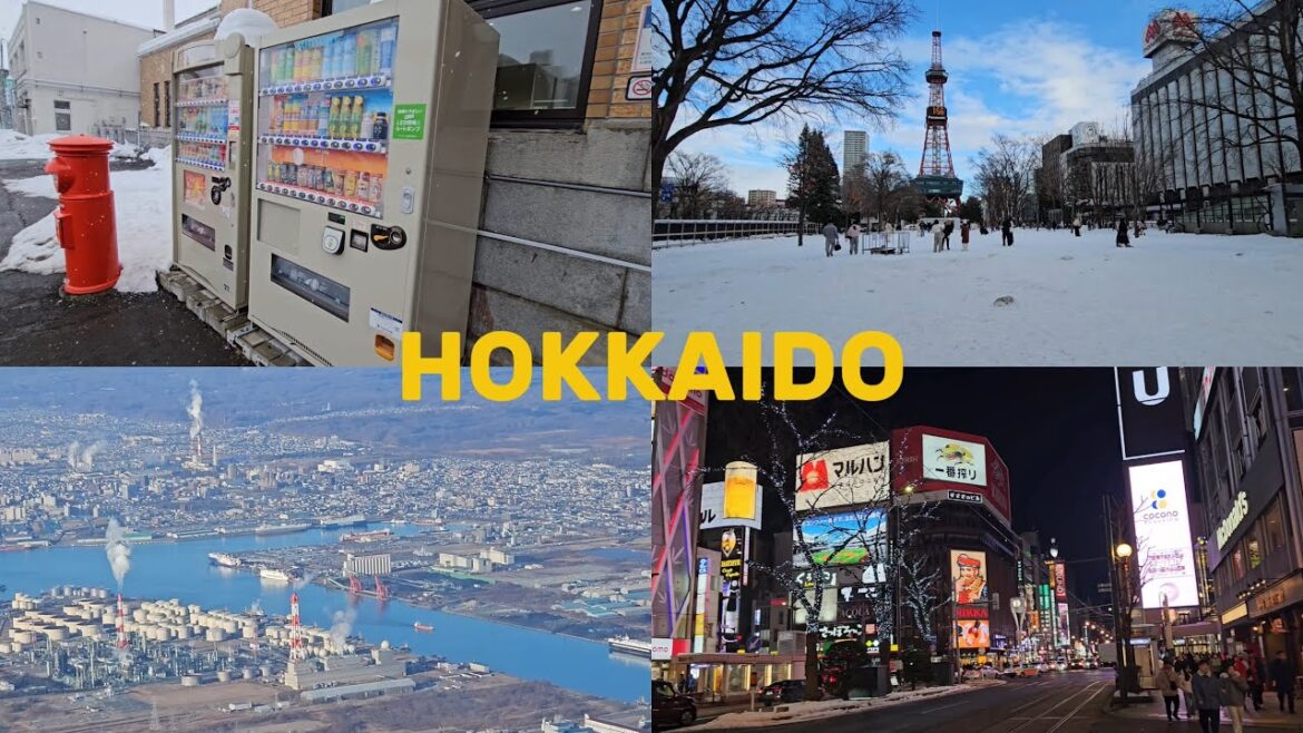 HOKKAIDO VLOG ❄️ 🇯🇵 |  Best Winter Views, Cozy Vibes & Must-Try Food! (4K UHD)