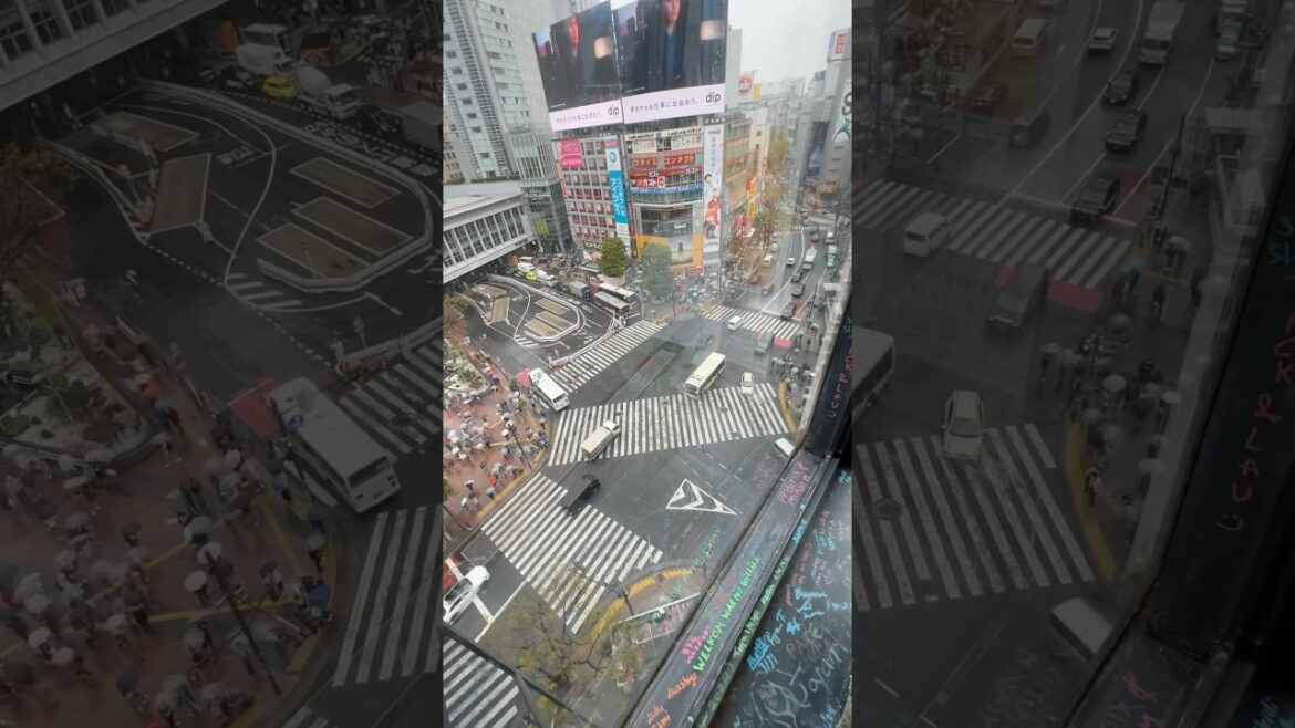 Shibuya Crossing - Tokyo - Japan #japan #tokyo #travel #solotravel #shibuya #shibuyacrossing
