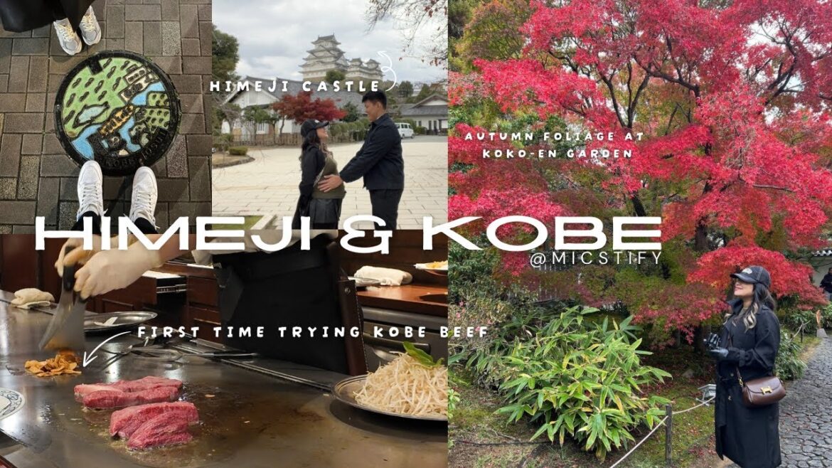 Himeji and Kobe – Kobe beef, koko-en Garden, Himeji Castle Ground | Micstify vlog Himeji and Kobe - Kobe beef, koko-en Garden, Himeji Castle Ground | Micstify vlog