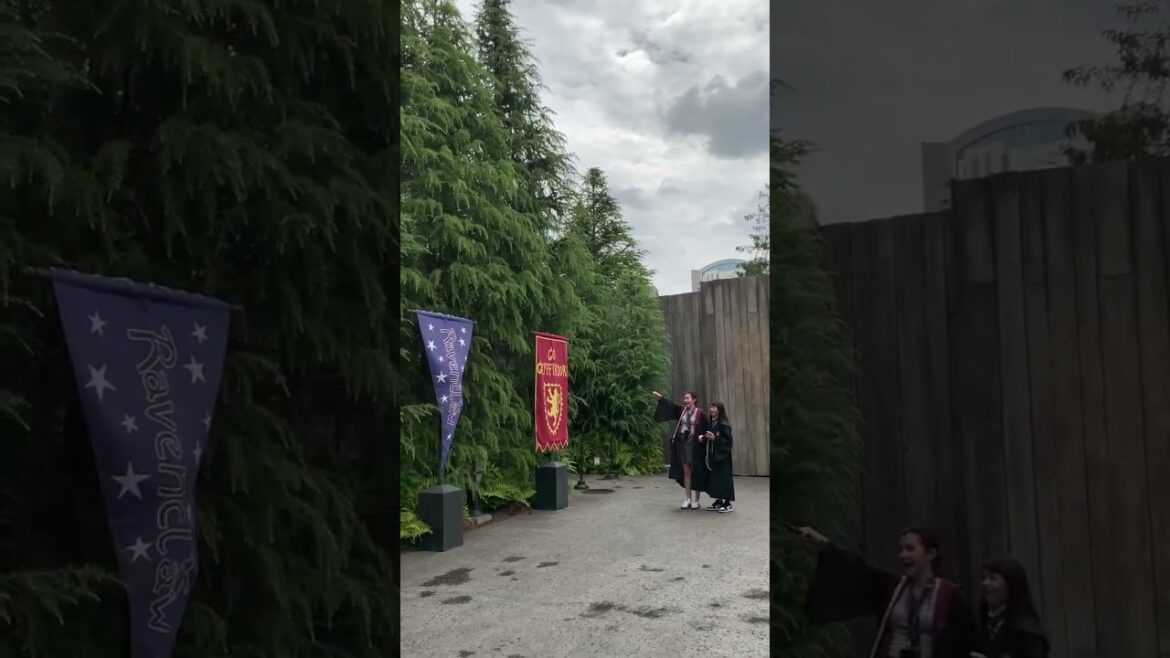 Trying the Magic Wand in Universal Studios Japan #howlidaytravel #explorejapan Trying the Magic Wand in Universal Studios Japan #howlidaytravel #explorejapan