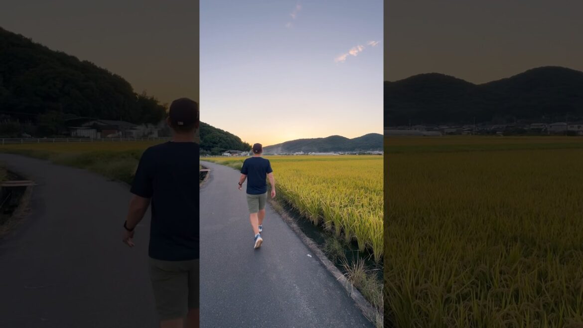 Sunset Walks In Japanese Countryside! #shorts #japan