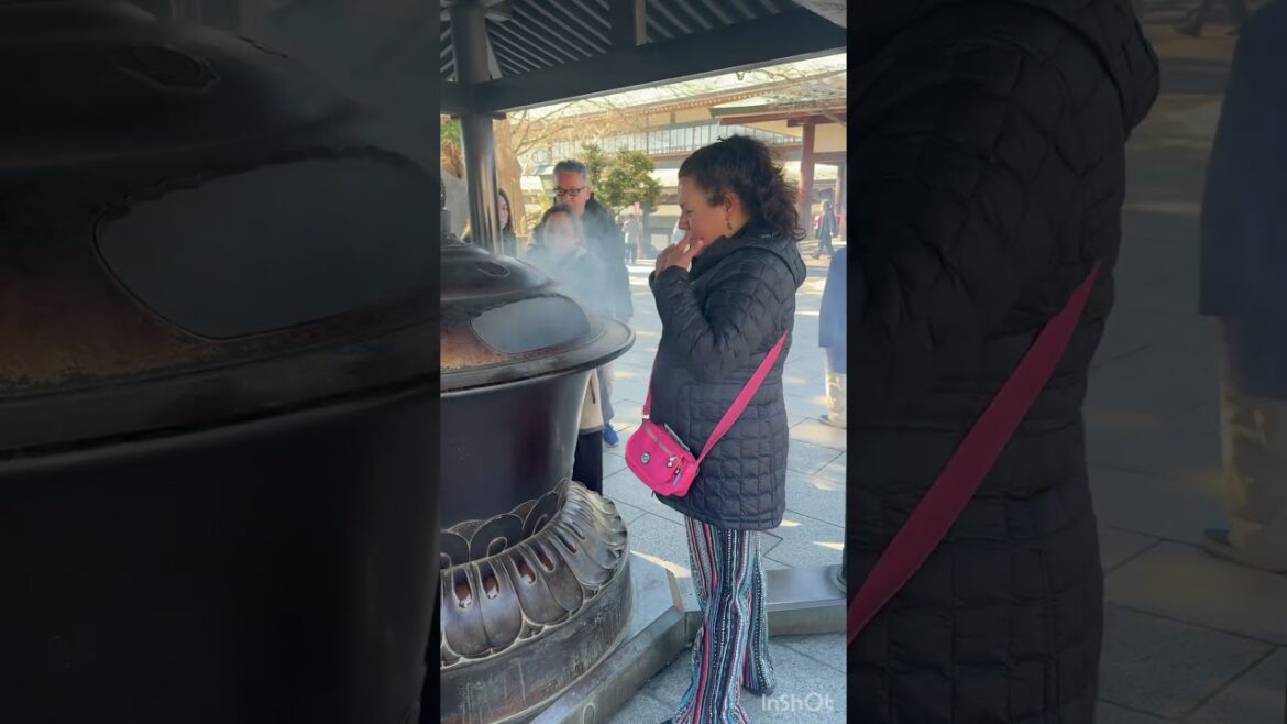 Escala en Narita, Japón. Qué hacer?