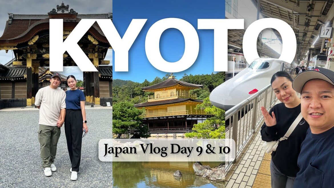 Kyoto Vlog Day 9 & 10 : Tokyo to Kyoto Shinkansen |  Kinkakuji Temple | Nijo Castle | Nishiki Market