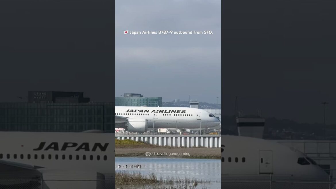 🇯🇵Japan Airlines Boeing 787-9 Dreamliner Takeoff from SFO. #shorts