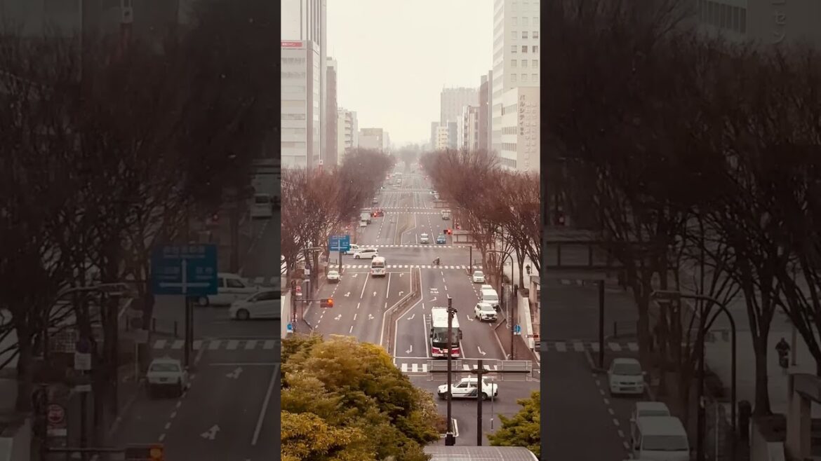 #sendai #busy #weekday #traffic