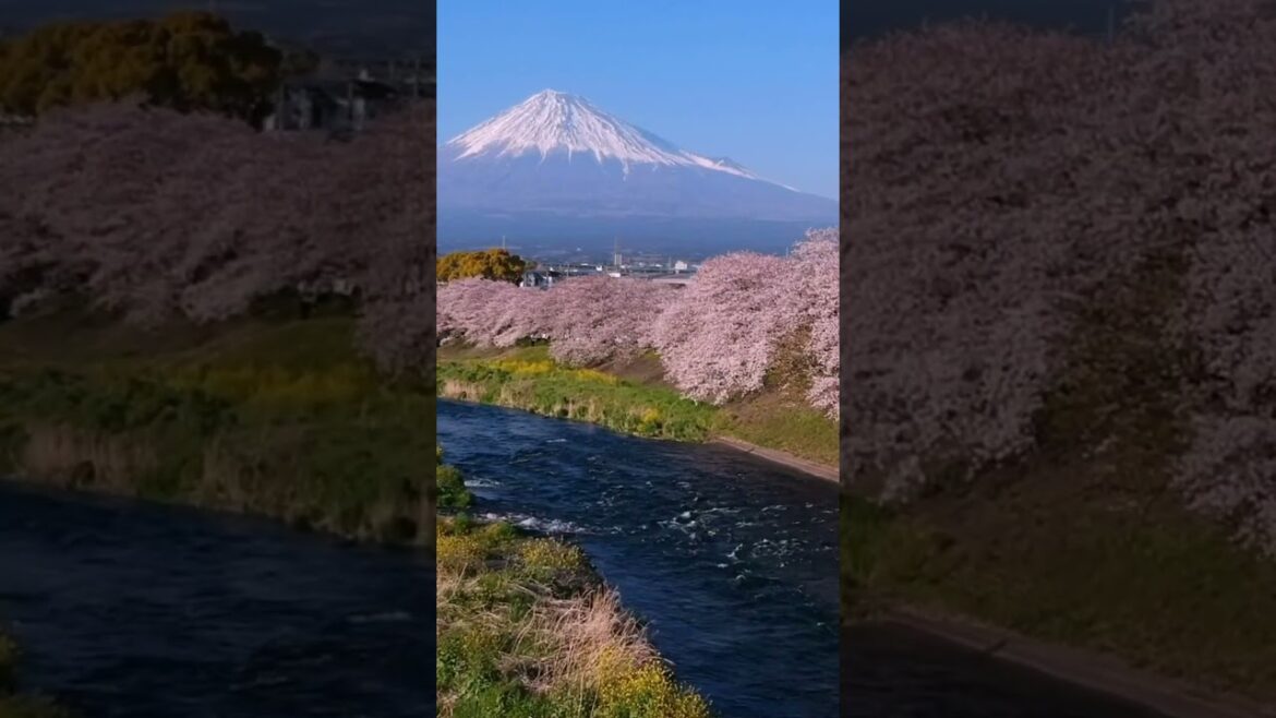 Most beautiful places in Japan🇯🇵 #travel #explore #japan #views #places #beautifulplace