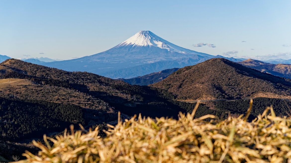 A day in Izu - Part 2
