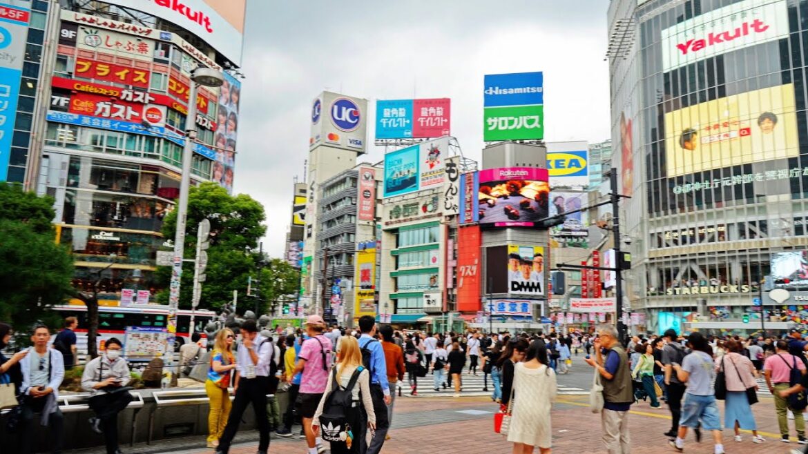 Walk in Tokyo: Hachiko Square, Shibuya Scramble Crossing, Mario Kart