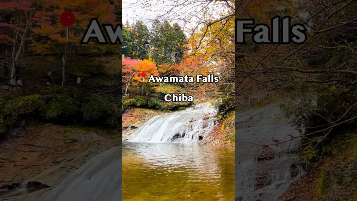 🍁 Yoro Valley (Awamata Falls) – Chiba