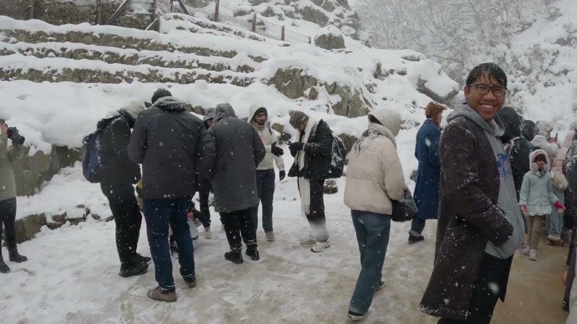 Winter trip 2025 Nagano Hakuba Japan　日本の長野りょうこう