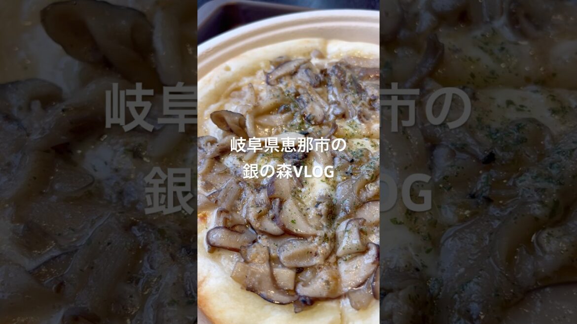 岐阜県恵那市の銀の森VLOG 観光地　日帰り旅行　おすすめグルメ　飲食店　キノコピザ　エビフライドッグ　コーヒー　遊べる場所　お土産屋　自然　空気美味しい　楽しい　デートスポット　人気　有名　デカ盛り