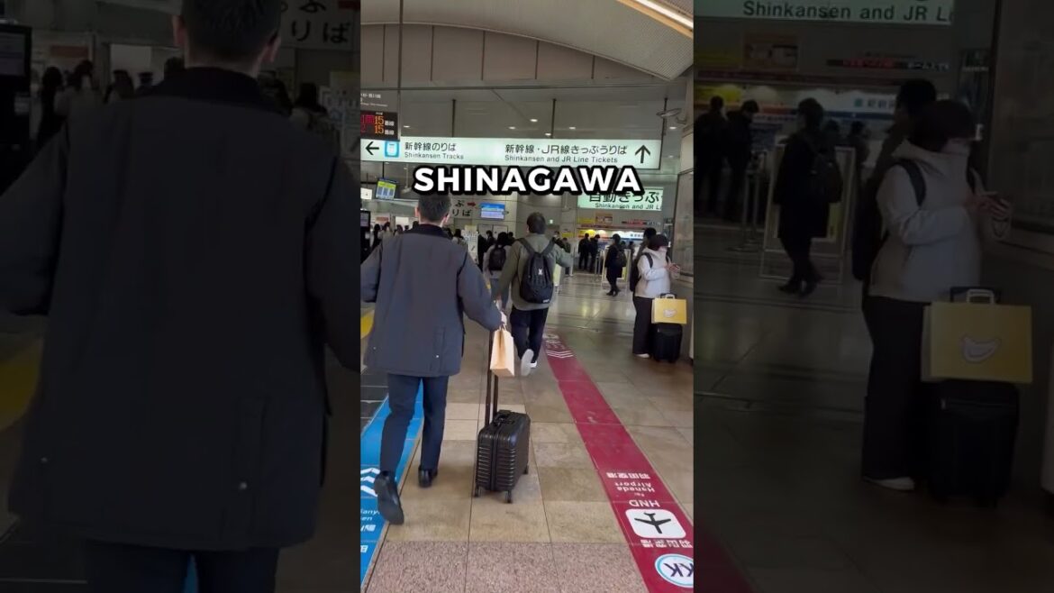 Get From Narita Airport to Tokyo Faster Than 99% of Travelers! #shorts #JapanTravel #Tokyo