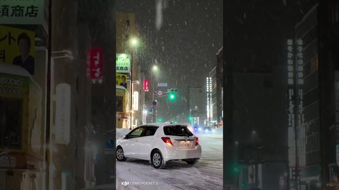 📍Sapporo 02032025 #travel #traveldestinations #sapporo #sapporoイケちゃん